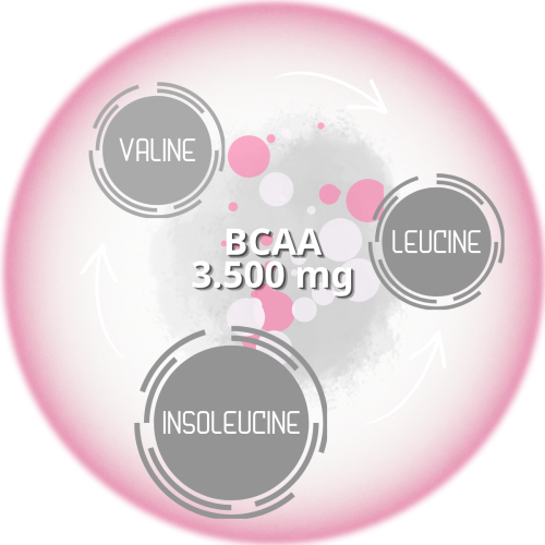 SỨC MẠNH CỦA BCAA - MỘT ACID AMIN CHUỖI NHÁNH QUAN TRỌNG KHÔNG THỂ THIẾU