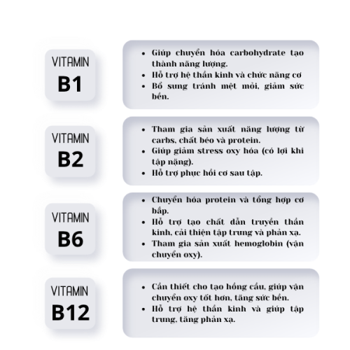 VITAMIN B ( B1, B2, B6, B12 )